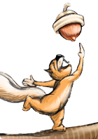 Squirrel Throwing an Acorn